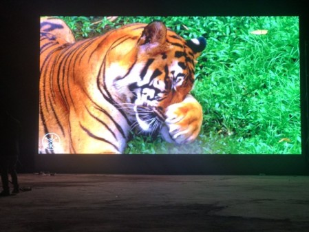 赤壁市三國小學-戶外P5-55.7㎡