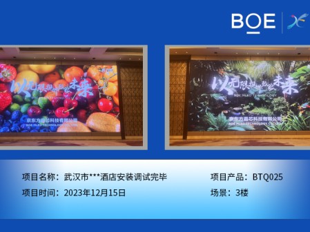 武漢市***酒店3樓BTQ025安裝調試完畢