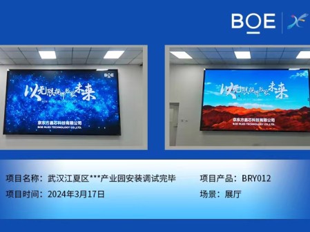 武漢江夏區**產業園展廳BRY012安裝調試完畢