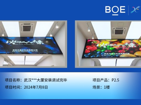 武漢***大廈安裝調試完畢