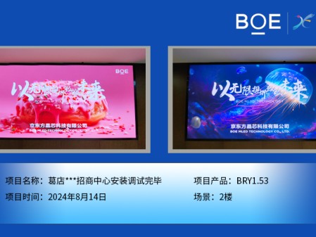 葛店***招商中心安裝調試完畢