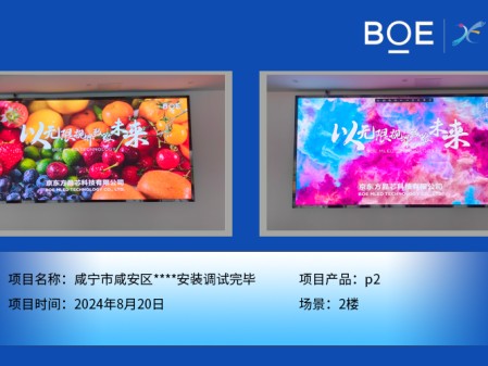 咸寧市咸安區****安裝調試完畢