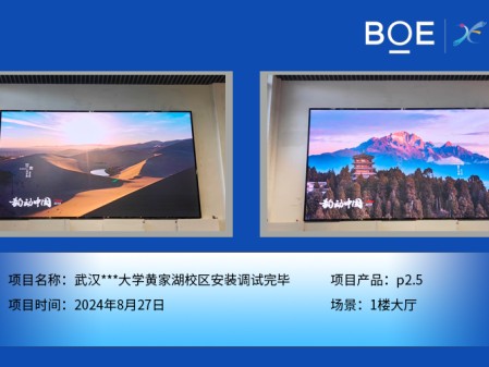 武漢***大學黃家湖校區安裝調試完畢