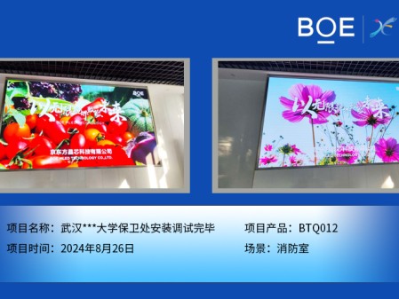 武漢***大學保衛處安裝調試完畢