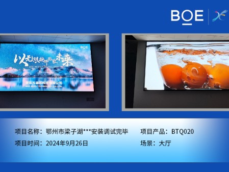 鄂州市梁子湖***安裝調試完畢