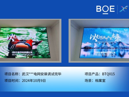 武漢***電網安裝調試完畢