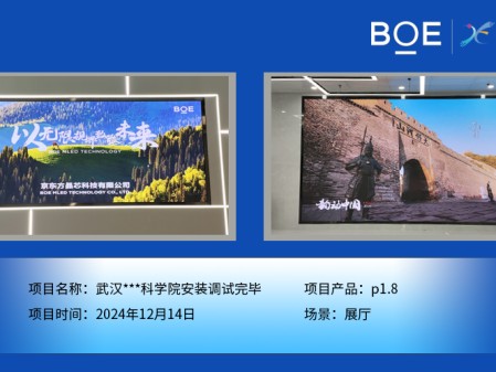 武漢***科學院安裝調試完畢