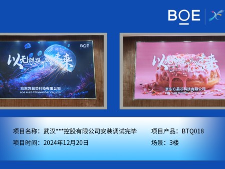 武漢***控股有限公司安裝調試完畢