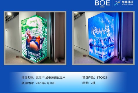 武漢***城安裝調(diào)試完畢