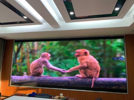 松滋國土局-室內P1.66-11.46㎡