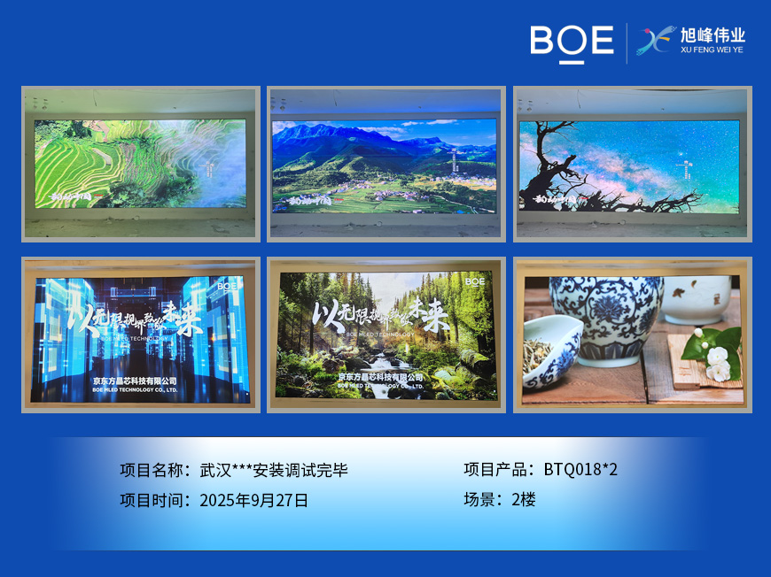 武漢***安裝調(diào)試完畢