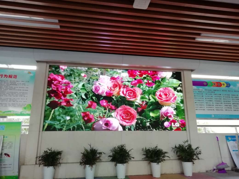 水果湖二小-P1.25-5.6㎡